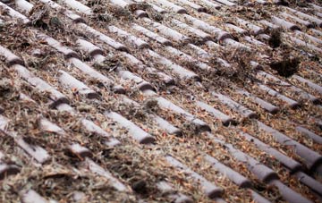 Kinglassie roof cleaning companies